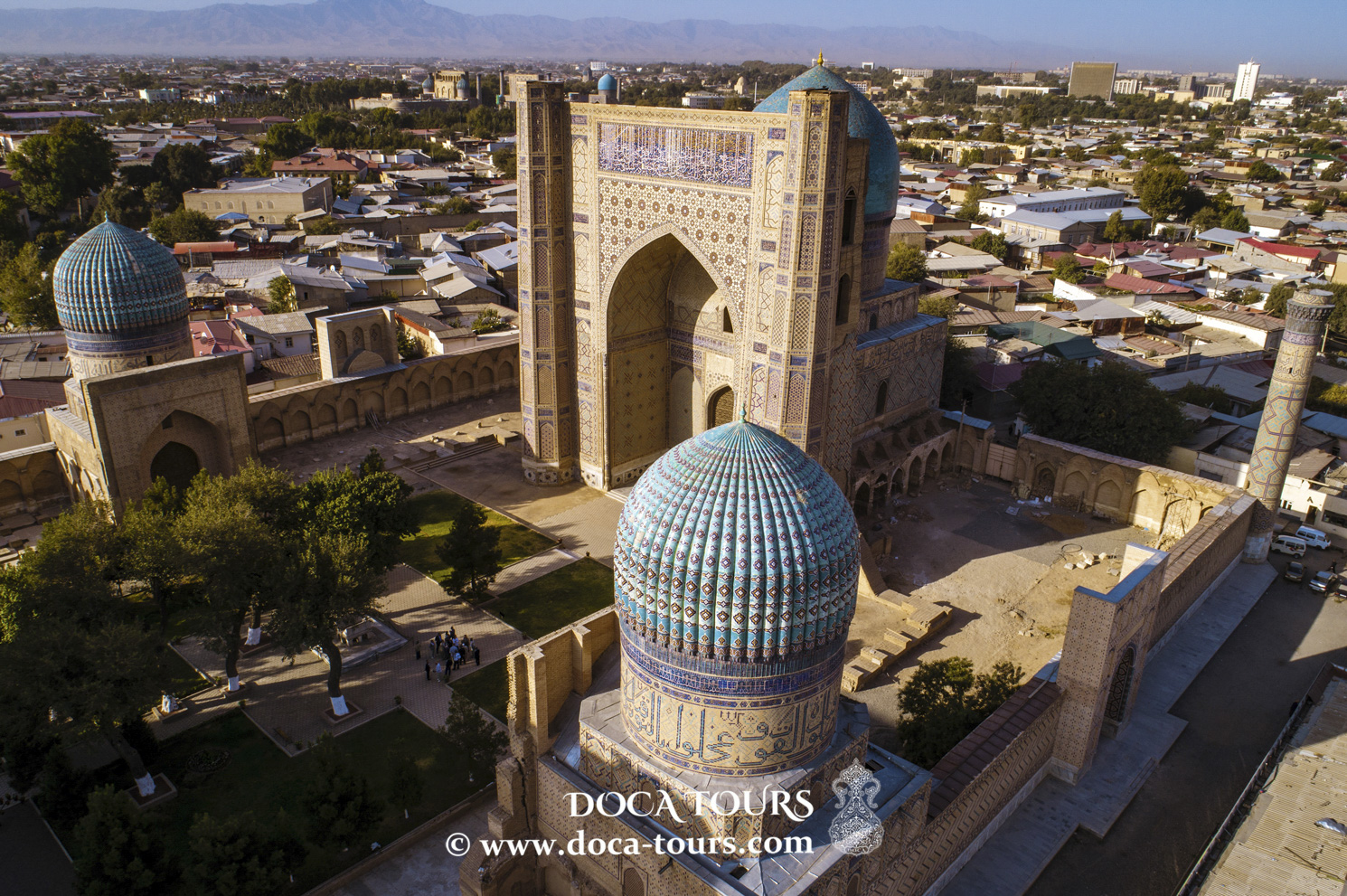 Mountain and Oasis Blooms