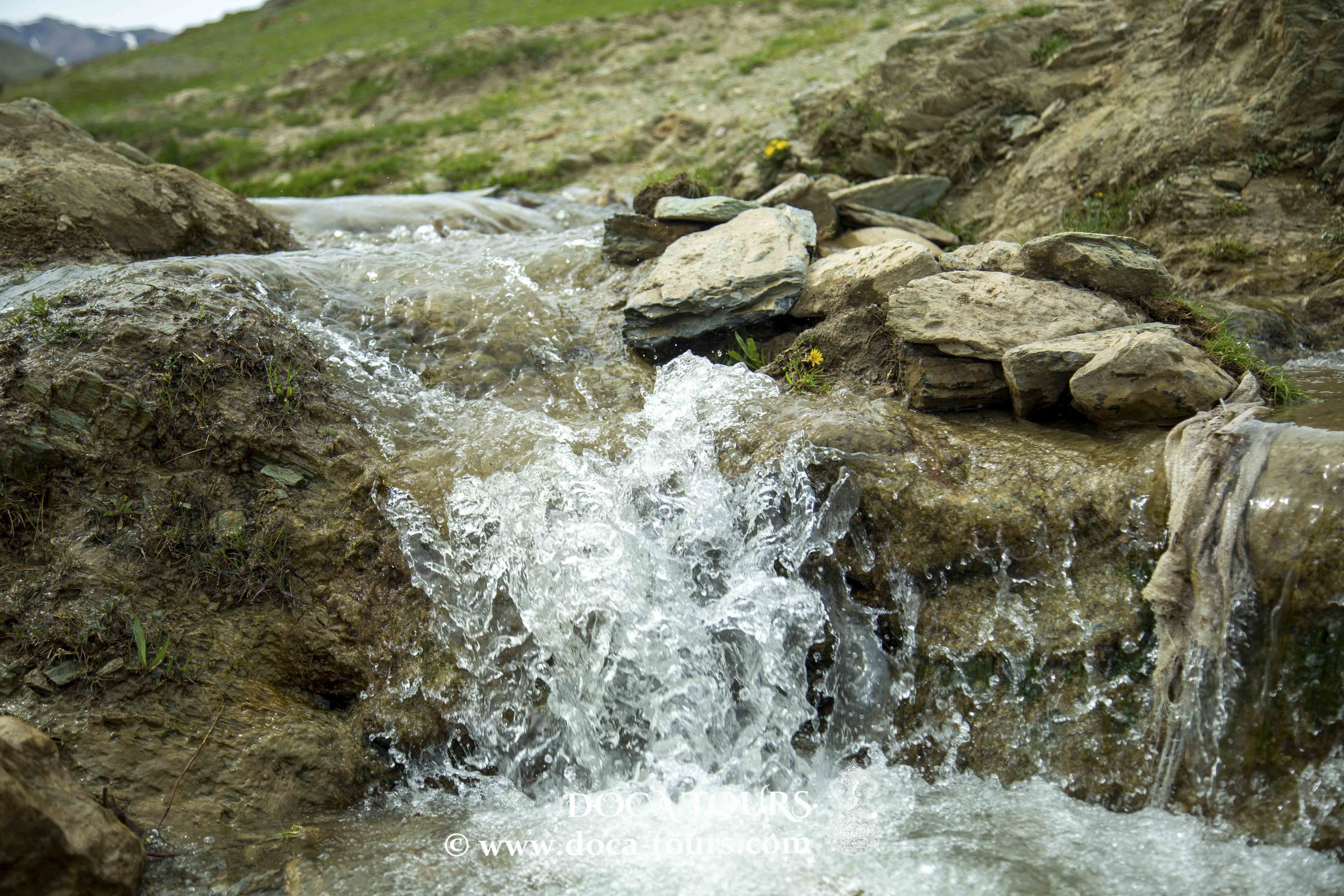 Mountain and Oasis Blooms
